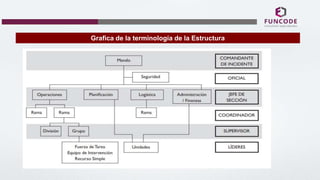 Grafica de la terminología de la Estructura
 