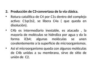 2. Producción de C3-convertasa de la vía clásica.
• Rotura catalítica de C4 por C1s dentro del complejo
activo: C1qr2s2, se libera C4a ( que queda en
disolución).
• C4b es intermediario inestable, es atacado , la
mayoría de moléculas se hidroliza por agua y da la
forma iCb4; algunas moléculas se unen
covalentemente a la superficie de microorganismos.
• Así el microorganismo queda con algunas moléculas
de C4b unidas a su membrana, sirve de sitio de
unión de C2.
 