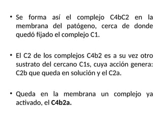 • Se forma así el complejo C4bC2 en la
membrana del patógeno, cerca de donde
quedó fijado el complejo C1.
• El C2 de los complejos C4b2 es a su vez otro
sustrato del cercano C1s, cuya acción genera:
C2b que queda en solución y el C2a.
• Queda en la membrana un complejo ya
activado, el C4b2a.
 