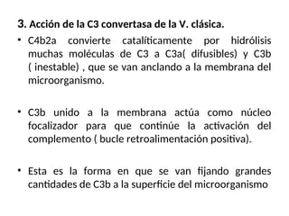 3. Acción de la C3 convertasa de la V. clásica.
• C4b2a convierte catalíticamente por hidrólisis
muchas moléculas de C3 a C3a( difusibles) y C3b
( inestable) , que se van anclando a la membrana del
microorganismo.
• C3b unido a la membrana actúa como núcleo
focalizador para que continúe la activación del
complemento ( bucle retroalimentación positiva).
• Esta es la forma en que se van fijando grandes
cantidades de C3b a la superficie del microorganismo
 
