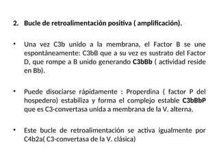 2. Bucle de retroalimentación positiva ( amplificación).
• Una vez C3b unido a la membrana, el Factor B se une
espontáneamente: C3bB que a su vez es sustrato del Factor
D, que rompe a B unido generando C3bBb ( actividad reside
en Bb).
• Puede disociarse rápidamente : Properdina ( factor P del
hospedero) estabiliza y forma el complejo estable C3bBbP
que es C3-convertasa unida a membrana de la V. alterna.
• Este bucle de retroalimentación se activa igualmente por
C4b2a( C3-convertasa de la V. clásica)
 
