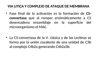 VIA LITICA Y COMPLEJO DE ATAQUE DE MEMBRANA
• Fase final de la activación es la formación de C5-
convertasa que al romper enzimáticamente a C5
desencadena ensamblaje en la superficie del
microorganismo el MAC.
• La C5-convertasa de la V. clásica y de las Lectinas se
forma por la unión covalente de una unidad de C3b
al complejo C4b2a generando C4b2a3b.
 