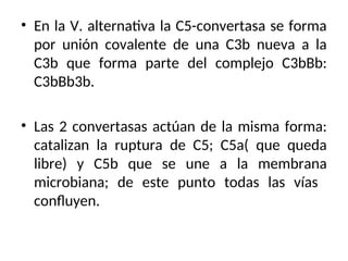 • En la V. alternativa la C5-convertasa se forma
por unión covalente de una C3b nueva a la
C3b que forma parte del complejo C3bBb:
C3bBb3b.
• Las 2 convertasas actúan de la misma forma:
catalizan la ruptura de C5; C5a( que queda
libre) y C5b que se une a la membrana
microbiana; de este punto todas las vías
confluyen.
 