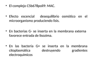 • El complejo C5b678poli9: MAC.
• Efecto escencial desequilibrio osmótico en el
microorganismo produciendo lisis.
• En bacterias G- se inserta en la membrana externa
favorece entrada de lisozima.
• En las bacteria G+ se inserta en la membrana
citoplasmática destruyendo gradientes
electroquímicos
 
