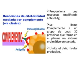 Proporciona una
respuesta amplificada
ante el Ag.
Se llama
Complemento a un
grupo de unas 30
proteínas que forma en
el plasma un sistema
enzimático en cascada.
Limita el daño tisular
producido.
 