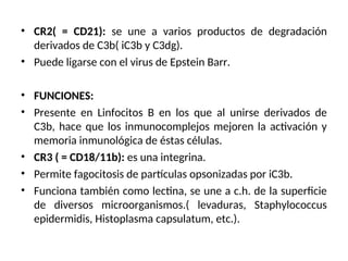 • CR2( = CD21): se une a varios productos de degradación
derivados de C3b( iC3b y C3dg).
• Puede ligarse con el virus de Epstein Barr.
• FUNCIONES:
• Presente en Linfocitos B en los que al unirse derivados de
C3b, hace que los inmunocomplejos mejoren la activación y
memoria inmunológica de éstas células.
• CR3 ( = CD18/11b): es una integrina.
• Permite fagocitosis de partículas opsonizadas por iC3b.
• Funciona también como lectina, se une a c.h. de la superficie
de diversos microorganismos.( levaduras, Staphylococcus
epidermidis, Histoplasma capsulatum, etc.).
 