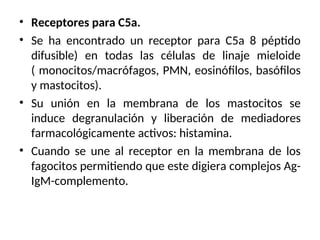 • Receptores para C5a.
• Se ha encontrado un receptor para C5a 8 péptido
difusible) en todas las células de linaje mieloide
( monocitos/macrófagos, PMN, eosinófilos, basófilos
y mastocitos).
• Su unión en la membrana de los mastocitos se
induce degranulación y liberación de mediadores
farmacológicamente activos: histamina.
• Cuando se une al receptor en la membrana de los
fagocitos permitiendo que este digiera complejos Ag-
IgM-complemento.
 