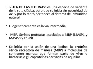 3. RUTA DE LAS LECTINAS: es una especie de variante
de la ruta clásica, pero que se inicia sin necesidad de
Ac, y por lo tanto pertenece al sistema de inmunidad
natural.
• Filogenéticamente es la vía intermedia.
• MBP, Serinas proteasas asociadas a MBP (MASP1 y
MASP2) y C1-INH.
• Se inicia por la unión de una lectina, la proteína
sérica receptora de manosa (MBP) a moléculas de
contienen manosa que forman parte de virus o
bacterias o glucoproteínas derivadas de aquellos.
 