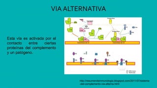 VIA ALTERNATIVA
http://resumendeinmunologia.blogspot.com/2011/07/sistema
-del-complemento-via-alterna.html
Esta vía es activada por el
contacto entre ciertas
proteínas del complemento
y un patógeno.
 