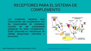 Complemento Componentes Sistema de complemento (terminado) | PPT