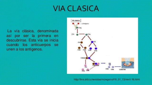 Sistema de complemento (terminado)