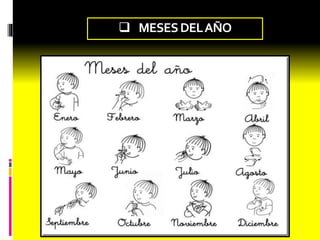  MESES DEL AÑO 
 