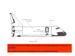 Configuración de un satélite almacenado en el compartimiento de carga de un 
orbitador. 
Un satélite de mayores dimensiones iría en posición horizontal. 
 
