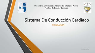 Sistema De Conducción Cardiaco
TLQ Neftalí Pérez Pérez
FISIOLOGIA I
Benemérita Universidad Autónoma del Estado de Puebla
Facultad de Ciencias Químicas
 