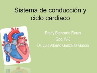 Sistema de conducción y
     ciclo cardiaco

            Brady Blancarte Flores
                   Gpo. IV-3
       Dr. Luis Alberto González García
 