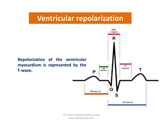 Repolarized Conduction System of the Heart | PPTX