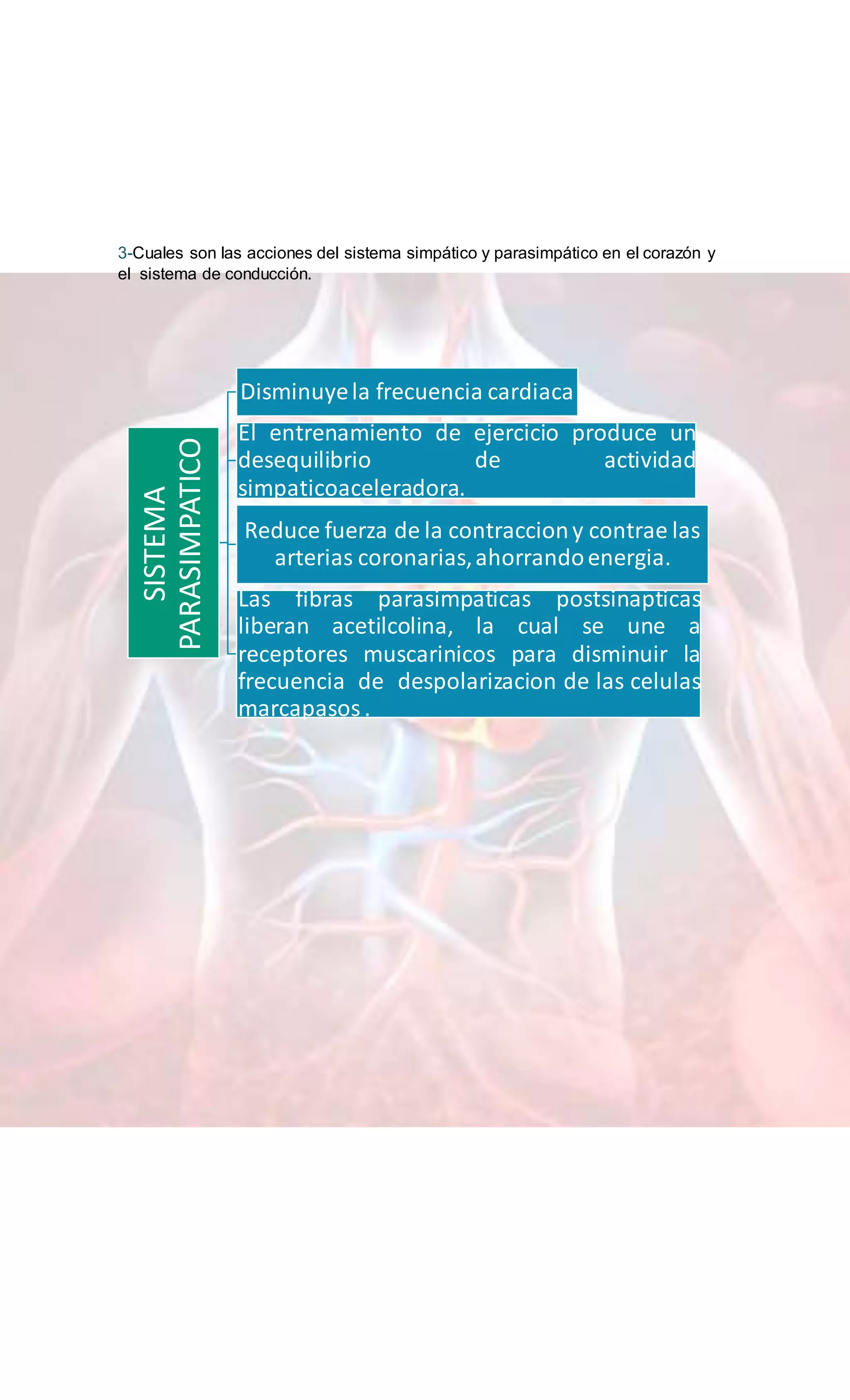 Sistema de conduccion electrica PDF