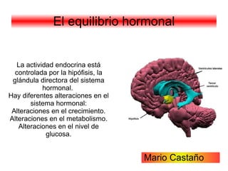 Médula espinal: Gobierna algunos movimientos reflejos 