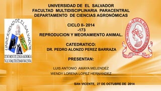 UNIVERSIDAD DE EL SALVADOR 
FACULTAD MULTIDISCIPLINARIA PARACENTRAL 
DEPARTAMENTO DE CIENCIAS AGRONÓMICAS 
CICLO II- 2014 
-173 
REPRODUCION Y MEORAMIENTO ANIMAL. 
CATEDRATICO: 
DR. PEDRO ALONZO PEREZ BARRAZA 
PRESENTAN: 
LUIS ANTONIO AMAYA MELENDEZ 
WENDY LORENA LOPEZ HERNANDEZ 
SAN VICENTE, 27 DE OCTUBRE DE 2014 
 