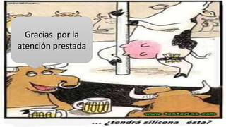 Gracias por la 
atención prestada 
