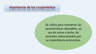 Se utiliza para mantener las 
caracteristicas deseables, ya 
sea de carne o leche, de 
animales seleccionados por 
su importancia economica. 
 