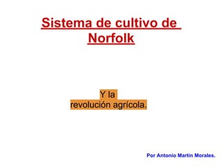 Sistema de cultivo de
      Norfolk



            Y la
    revolución agrícola.




                       Por Antonio Martín Morales.
 