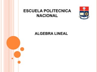 ESCUELA POLITECNICA
     NACIONAL



    ALGEBRA LINEAL
 