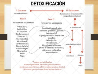 DETOXIFICACIÓN
 