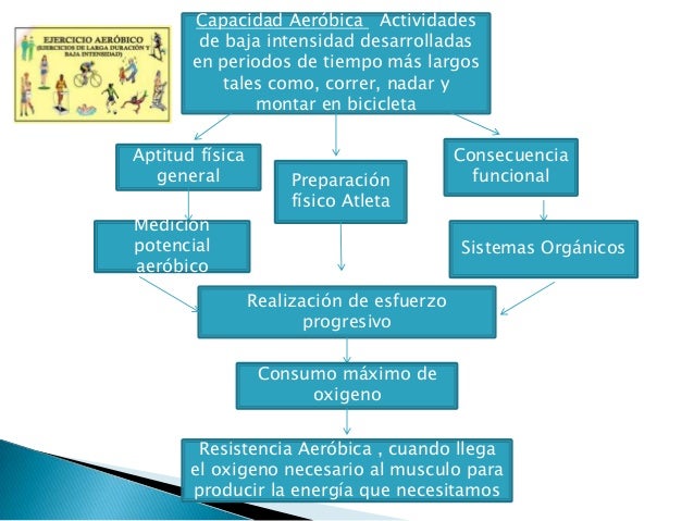 Sistema de entrenamientos capacidad aeróbica y potencia anaeróbica
