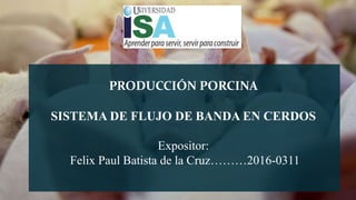 PRODUCCIÓN PORCINA
SISTEMA DE FLUJO DE BANDA EN CERDOS
Expositor:
Felix Paul Batista de la Cruz………2016-0311
 