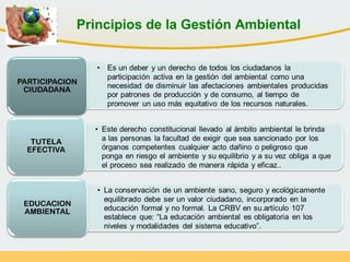 Principios de la Gestión Ambiental
 