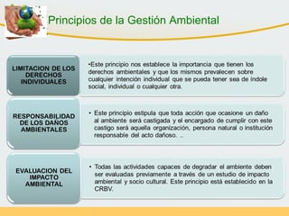 Principios de la Gestión Ambiental
 
