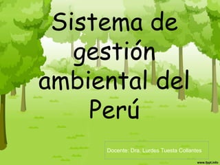 Sistema de
gestión
ambiental del
Perú
Docente: Dra. Lurdes Tuesta Collantes
 