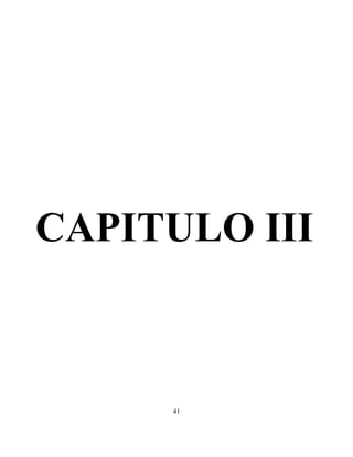 41
CAPITULO III
 