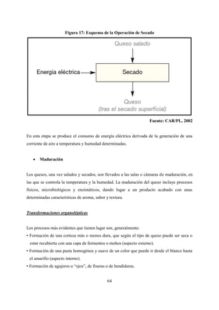 64
Figura 17: Esquema de la Operación de Secado
Fuente: CAR/PL, 2002
En esta etapa se produce el consumo de energía eléctrica derivada de la generación de una
corriente de aire a temperatura y humedad determinadas.
 Maduración
Los quesos, una vez salados y secados, son llevados a las salas o cámaras de maduración, en
las que se controla la temperatura y la humedad. La maduración del queso incluye procesos
físicos, microbiológicos y enzimáticos, dando lugar a un producto acabado con unas
determinadas características de aroma, sabor y textura.
Transformaciones organolépticas
Los procesos más evidentes que tienen lugar son, generalmente:
• Formación de una corteza más o menos dura, que según el tipo de queso puede ser seca o
estar recubierta con una capa de fermentos o mohos (aspecto externo).
• Formación de una pasta homogénea y suave de un color que puede ir desde el blanco hasta
el amarillo (aspecto interno).
• Formación de agujeros u “ojos”, de fisuras o de hendiduras.
 