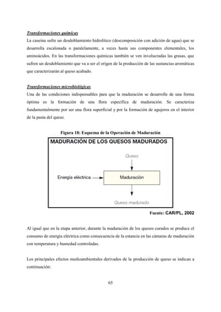 65
Transformaciones químicas
La caseína sufre un desdoblamiento hidrolítico (descomposición con adición de agua) que se
desarrolla escalonada o paralelamente, a veces hasta sus componentes elementales, los
aminoácidos. En las transformaciones químicas también se ven involucradas las grasas, que
sufren un desdoblamiento que va a ser el origen de la producción de las sustancias aromáticas
que caracterizarán al queso acabado.
Transformaciones microbiológicas
Una de las condiciones indispensables para que la maduración se desarrolle de una forma
óptima es la formación de una flora específica de maduración. Se caracteriza
fundamentalmente por ser una flora superficial y por la formación de agujeros en el interior
de la pasta del queso.
Figura 18: Esquema de la Operación de Maduración
Fuente: CAR/PL, 2002
Al igual que en la etapa anterior, durante la maduración de los quesos curados se produce el
consumo de energía eléctrica como consecuencia de la estancia en las cámaras de maduración
con temperatura y humedad controladas.
Los principales efectos medioambientales derivados de la producción de queso se indican a
continuación:
 