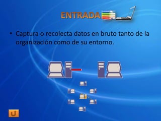 • Captura o recolecta datos en bruto tanto de la
  organización como de su entorno.
 