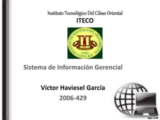 Instituto Tecnológico Del Cibao Oriental
ITECO
Sistema de Información Gerencial
Víctor Haviesel García
2006-429
 