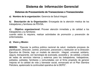 Sistema de informacion gerencial | PDF