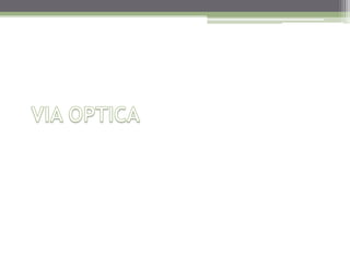 VIA OPTICA