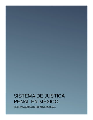 Sistema de justicia penal en méxico, ensayo. | DOC