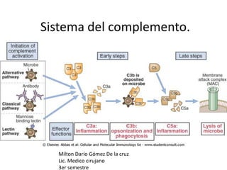 Sistema del complemento.




  Milton Darío Gómez De la cruz
  Lic. Medico cirujano
  3er semestre
 