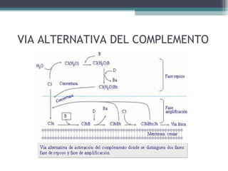 VIA ALTERNATIVA DEL COMPLEMENTO
 