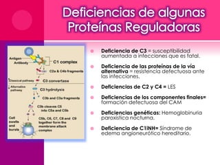  Deficiencia de C3 = susceptibilidad 
aumentada a infecciones que es fatal. 
 Deficiencia de las proteínas de la vía 
alternativa = resistencia defectuosa ante 
las infecciones. 
 Deficiencias de C2 y C4 = LES 
 Deficiencias de los componentes finales= 
formación defectuosa del CAM 
 Deficiencias genéticas: Hemoglobinuria 
paroxística nocturna. 
 Deficiencia de C1iNH= Síndrome de 
edema angioneurótico hereditario. 
 