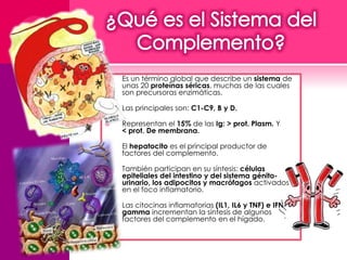  Es un término global que describe un sistema de 
unas 20 proteínas séricas, muchas de las cuales 
son precursoras enzimáticas. 
 Las principales son: C1-C9, B y D. 
 Representan el 15% de las Ig: > prot. Plasm. Y 
< prot. De membrana. 
 El hepatocito es el principal productor de 
factores del complemento. 
 También participan en su síntesis: células 
epiteliales del intestino y del sistema génito-urinario, 
los adipocitos y macrófagos activados 
en el foco inflamatorio. 
 Las citocinas inflamatorias (IL1, IL6 y TNF) e IFN-gamma 
incrementan la síntesis de algunos 
factores del complemento en el hígado. 
 