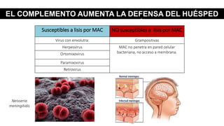 EL COMPLEMENTO AUMENTA LA DEFENSA DEL HUÉSPED
CONTRA INFECCIÓN
Susceptibles a lisis por MAC NO susceptibles a lisis por MAC
Virus con envolutra: Grampositivas
Herpesvirus MAC no penetra en pared celular
bacteriana, no acceso a membrana.Ortomixovirus
Paramixovirus
Retrovirus
Neisseria
meningitidis
 