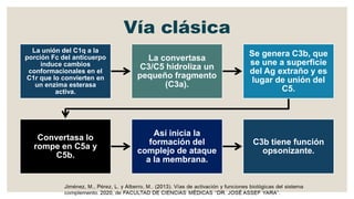 Vía clásica
La unión del C1q a la
porción Fc del anticuerpo
induce cambios
conformacionales en el
C1r que lo convierten en
un enzima esterasa
activa.
La convertasa
C3/C5 hidroliza un
pequeño fragmento
(C3a).
Se genera C3b, que
se une a superficie
del Ag extraño y es
lugar de unión del
C5.
Convertasa lo
rompe en C5a y
C5b.
Así inicia la
formación del
complejo de ataque
a la membrana.
C3b tiene función
opsonizante.
 