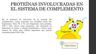 PROTEÍNAS INVOLUCRADAS EN
EL SISTEMA DE COMPLEMENTO
En el momento de activación de la cascada del
complemento, varias proteínas son divididas hacia dos
fragmentos. Para C3 y C4, los fragmentos más grandes,
C3b y C4b, sirven como opsoninas, que aumentan la
fagocitosis al unirse a células microbianas y sirven como
marcas de unión para células fagocíticas que portan
receptores para C3b o C4b.
 