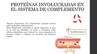 PROTEÍNAS INVOLUCRADAS EN
EL SISTEMA DE COMPLEMENTO
Algunos fragmentos del complemento pequeño actúan
como mediadores inflamatorios.
Estos fragmentos aumentan el aporte sanguíneo al área
en la cual son liberados, al unirse a receptores sobre
células endoteliales que revisten los vasos sanguíneos de
pequeño calibre e inducen un aumento del diámetro
capilar.
 