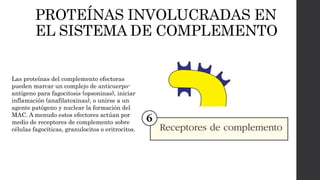 PROTEÍNAS INVOLUCRADAS EN
EL SISTEMA DE COMPLEMENTO
Las proteínas del complemento efectoras
pueden marcar un complejo de anticuerpo-
antígeno para fagocitosis (opsoninas), iniciar
inflamación (anafilatoxinas), o unirse a un
agente patógeno y nuclear la formación del
MAC. A menudo estos efectores actúan por
medio de receptores de complemento sobre
células fagocíticas, granulocitos o eritrocitos.
 